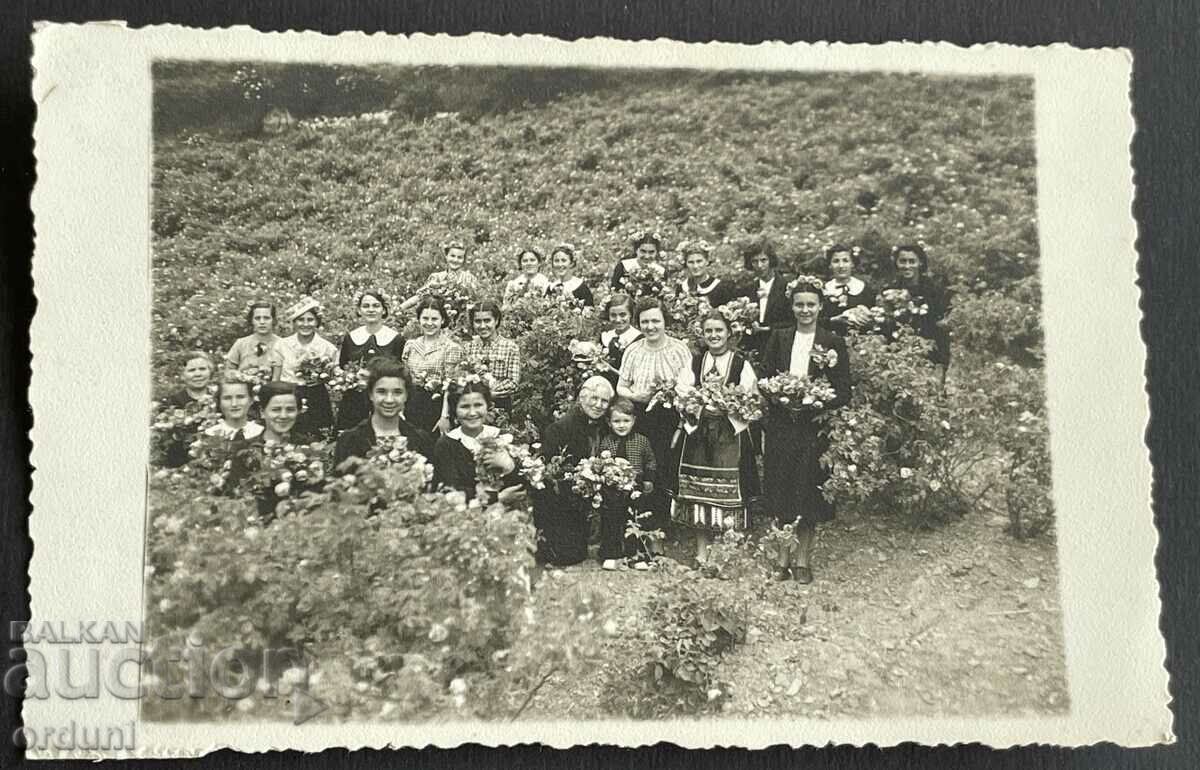 3742 Kingdom of Bulgaria Karlovo roses Roseberry 1939.