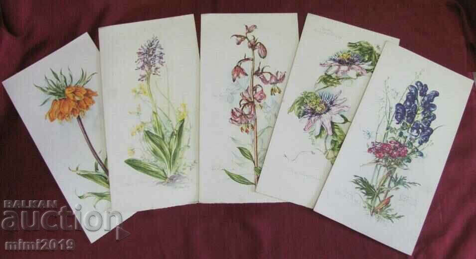 10 pcs. Color Lithographs of Flowers with price 17.50 BGN | € 8.95