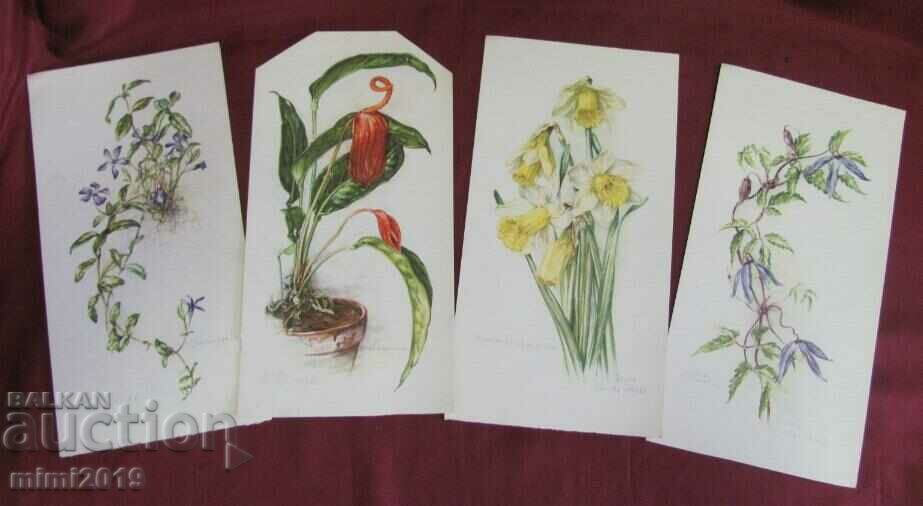 Auction  10 pcs. Color Lithographs of Flowers