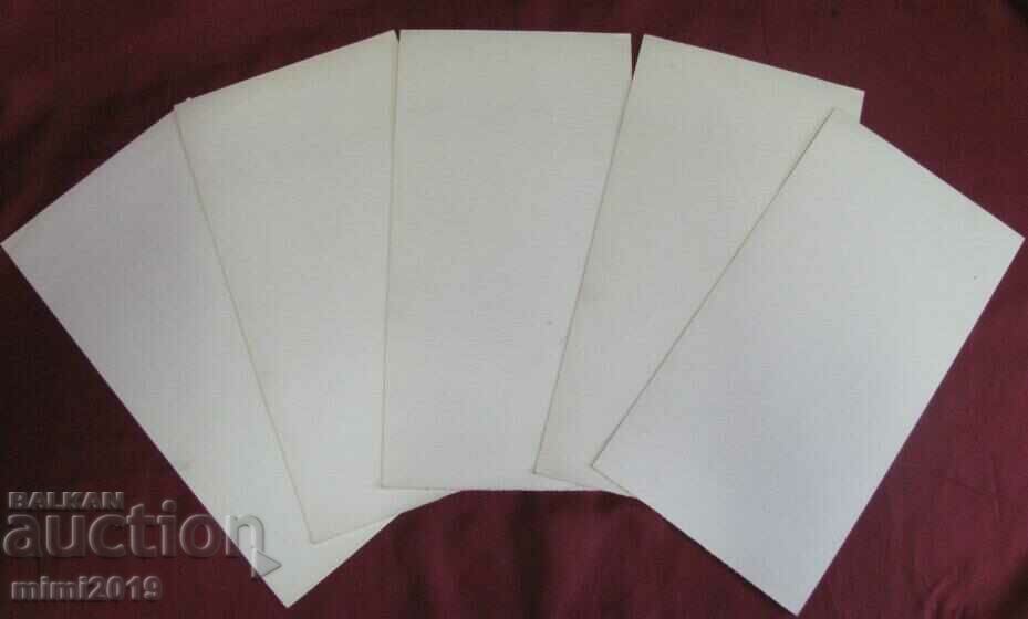 Delivery of 10 pcs. Color Lithographs of Flowers