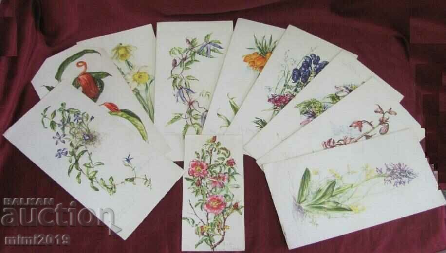 10 pcs. Color Lithographs of Flowers - 5