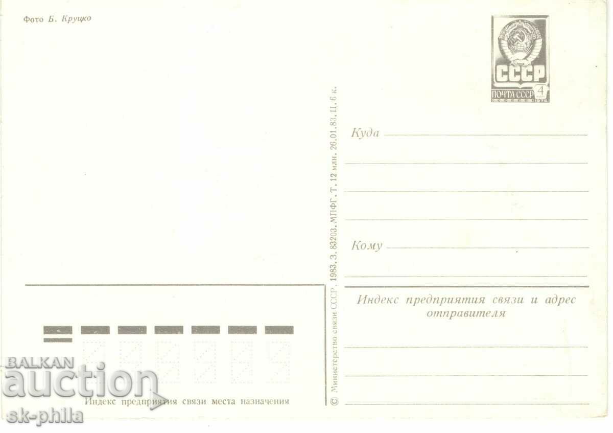 Old greeting card - Basket of margaritas with price 0.40 BGN | € 0.20 Old greeting card - Basket of margaritas with price 0.40 BGN | € 0.20