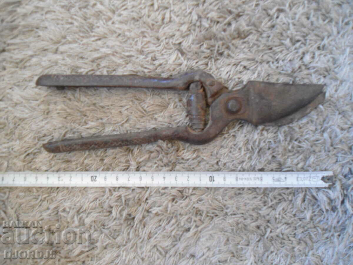 Delivery of Old viticulture scissors Delivery of Old viticulture scissors