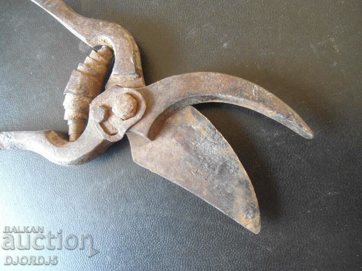 Old viticulture scissors - 5 Old viticulture scissors - 5