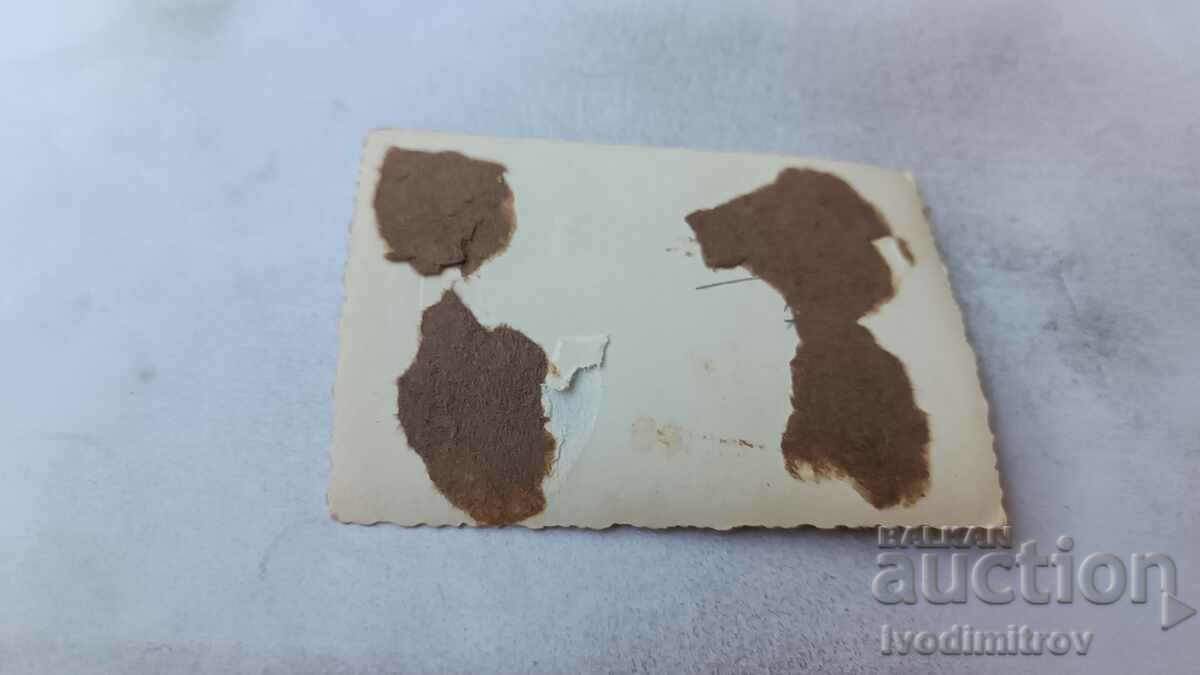 Fotografie Sofia Un bărbat și o tânără la plimbare cu preț 2.45 BGN | € 1.25 Fotografie Sofia Un bărbat și o tânără la plimbare cu preț 2.45 BGN | € 1.25