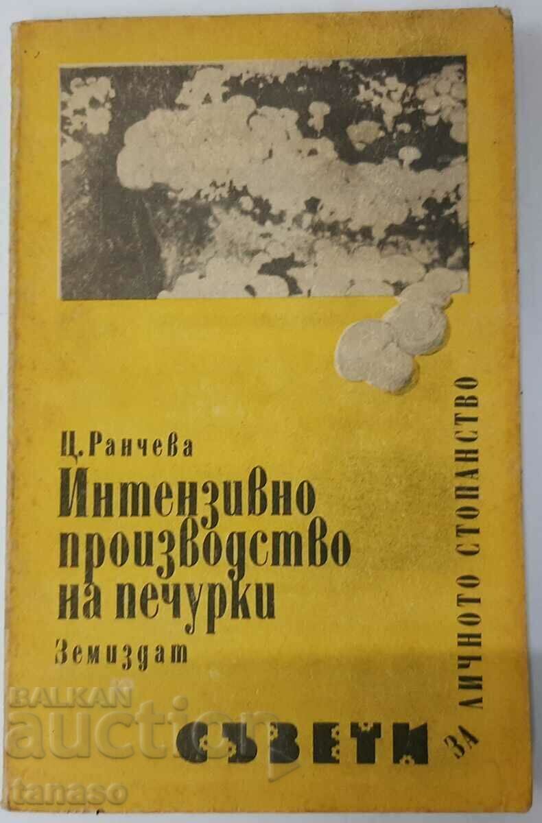 Intensive mushroom production (12.6)