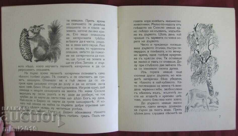 Delivery of Old Children's Book - The Little Squirrel Delivery of Old Children's Book - The Little Squirrel