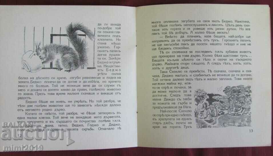 Old Children's Book - The Little Squirrel - 6 Old Children's Book - The Little Squirrel - 6