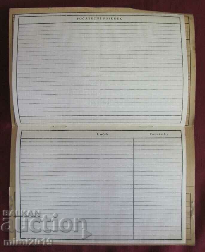 40's 15 pcs. Children's Registration Cards - Passports - 6