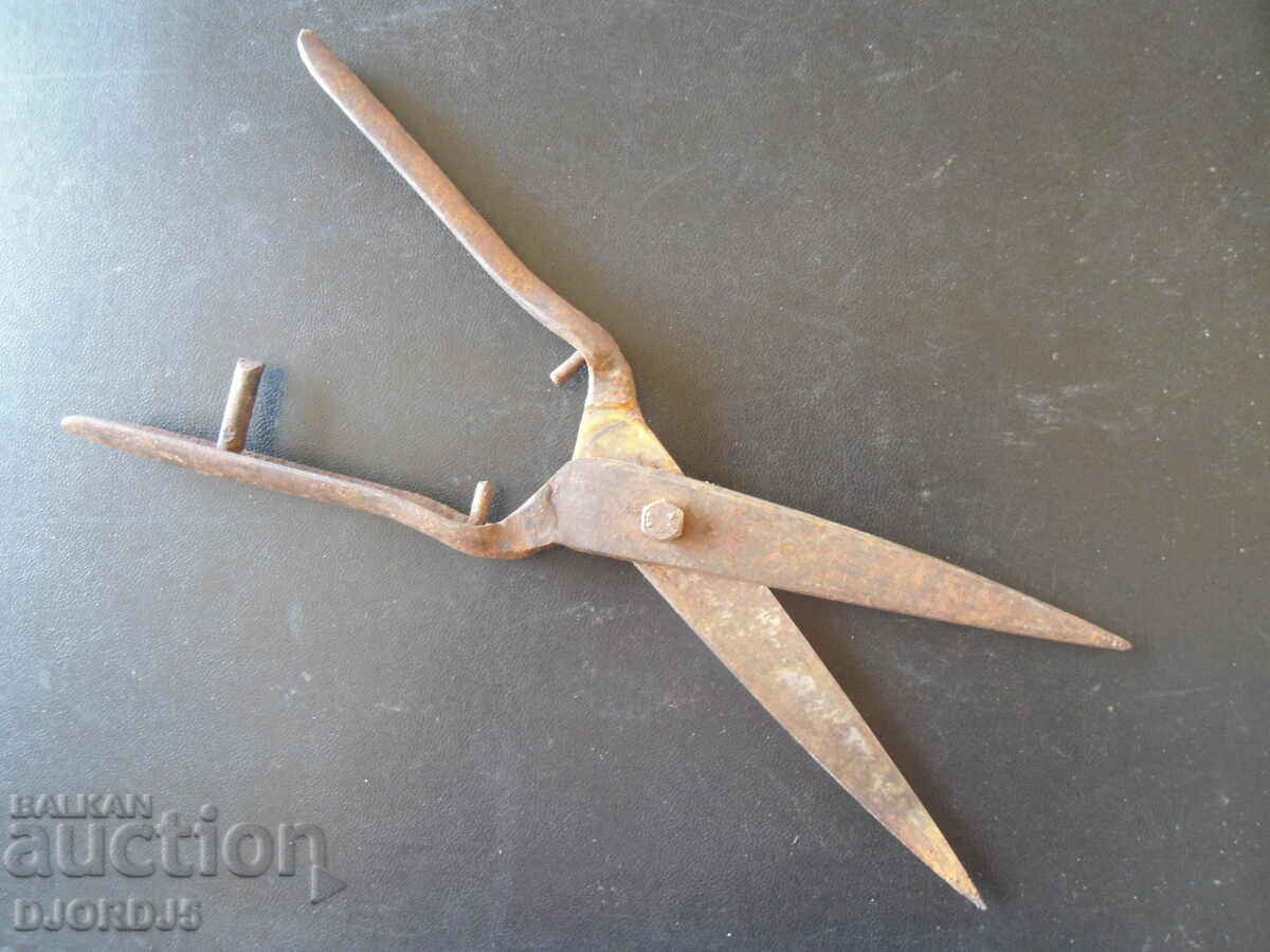Auction  Old scissors