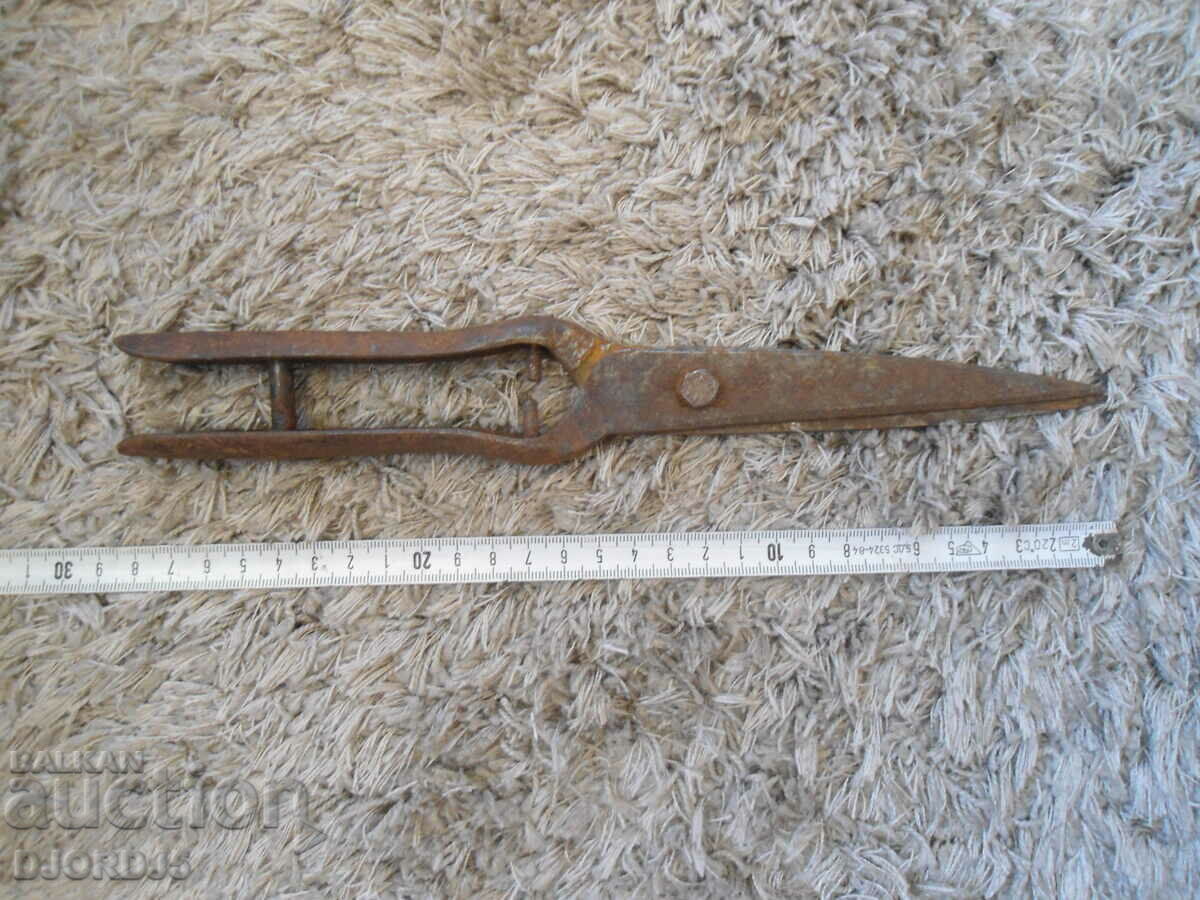 Delivery of Old scissors