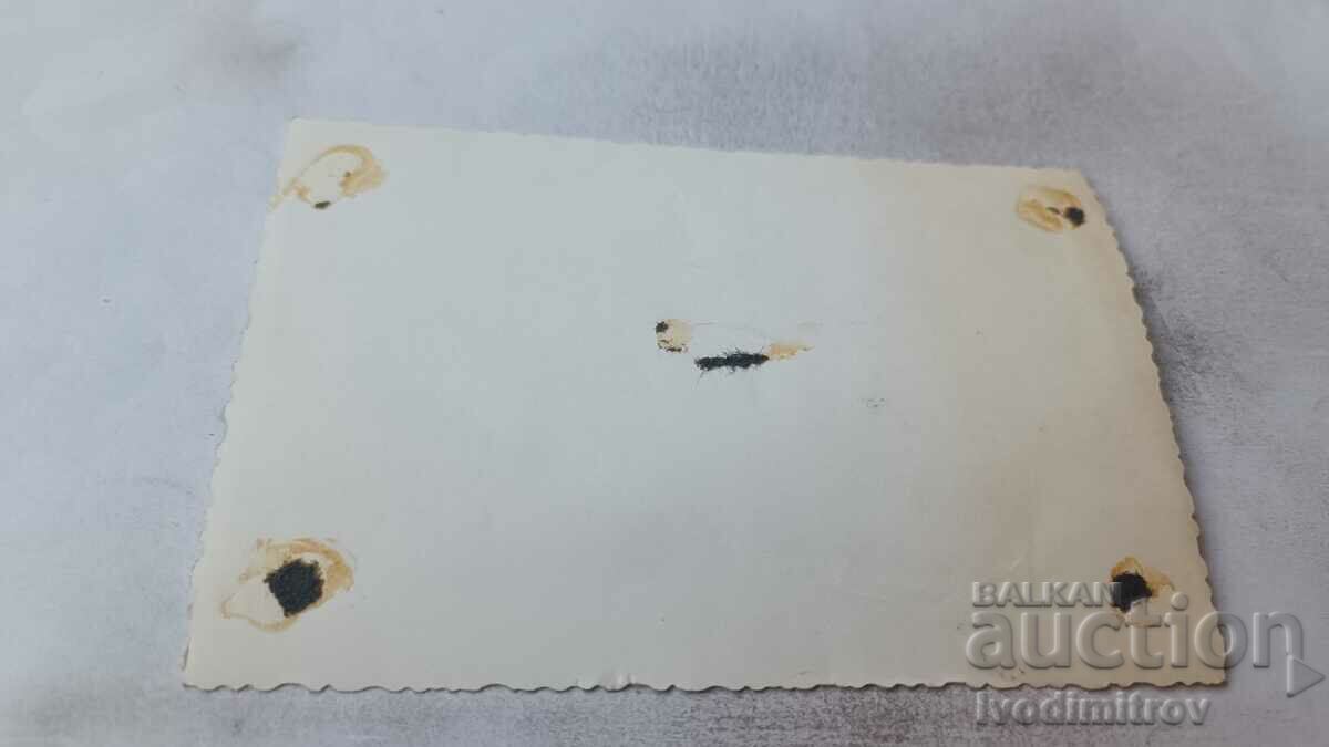 Picture Students with accordions and violins with price 0.85 BGN | € 0.43 Picture Students with accordions and violins with price 0.85 BGN | € 0.43