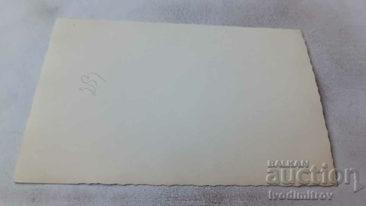 Φωτογραφία Άνθρωπος με ακορντεόν με τιμή 0.85 BGN | € 0.43 Φωτογραφία Άνθρωπος με ακορντεόν με τιμή 0.85 BGN | € 0.43