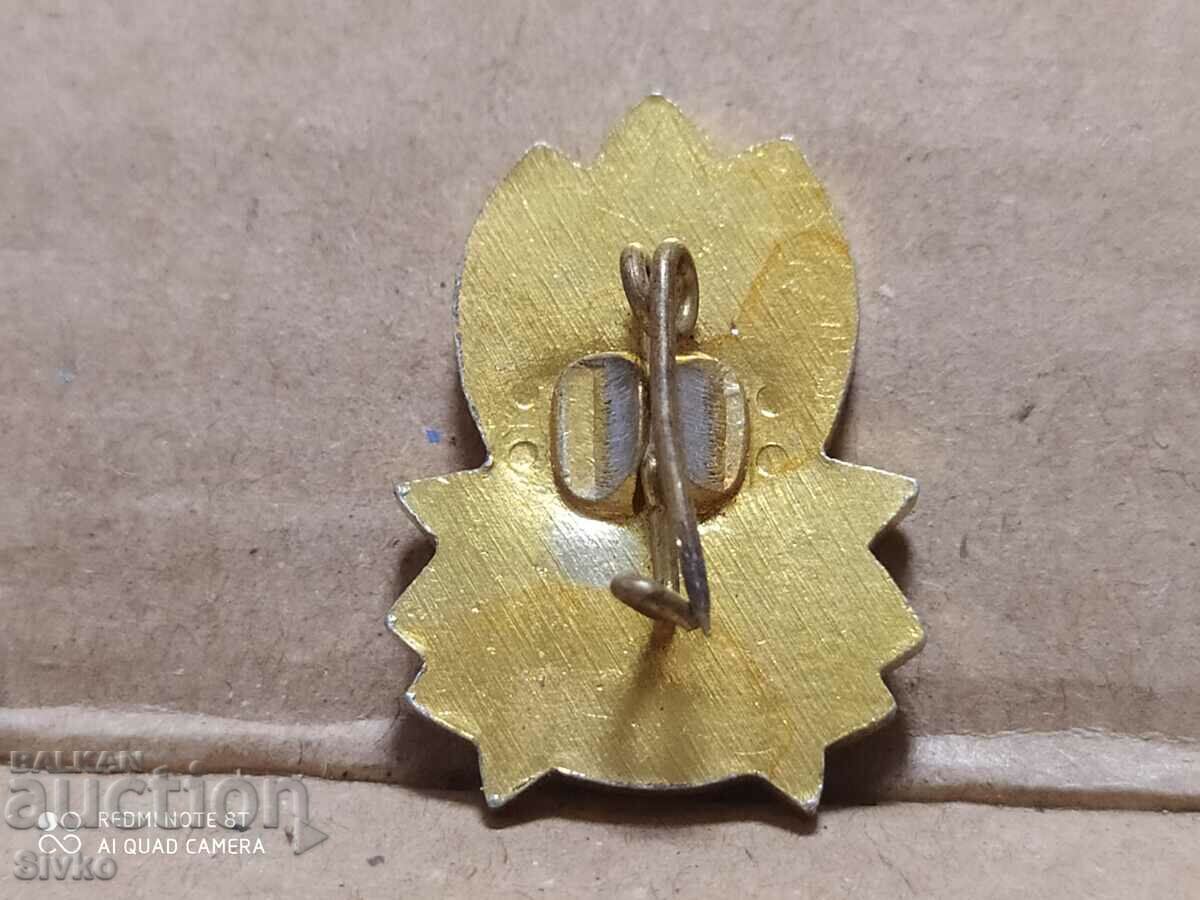 Badge Always ready with price 0.99 BGN | € 0.51 Badge Always ready with price 0.99 BGN | € 0.51