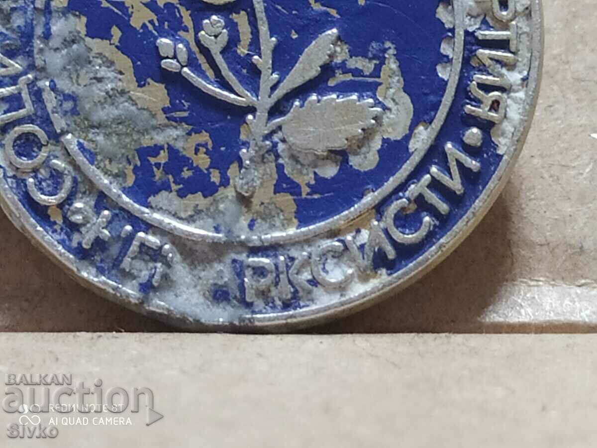 Auction Badge Social Democratic Party non-Marxists Auction Badge Social Democratic Party non-Marxists