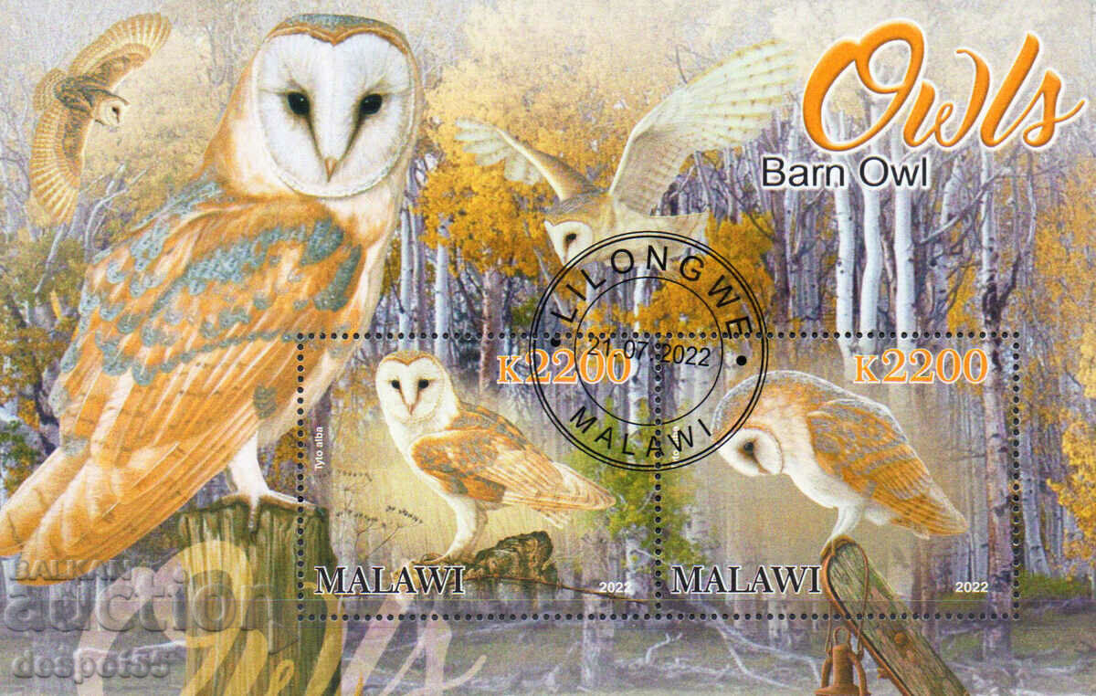 2022. Malawi. Birds - Barn owl. Block.
