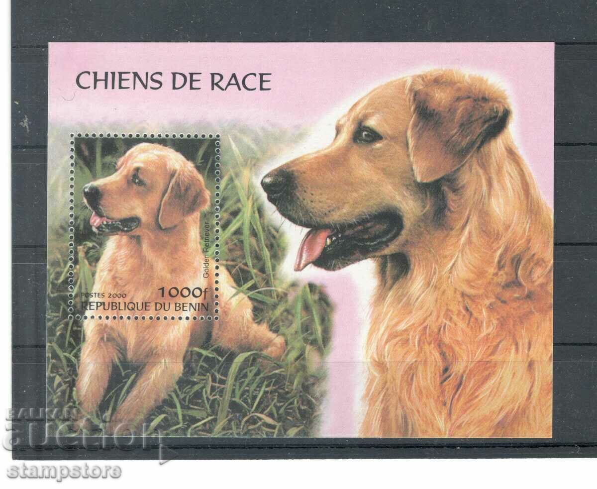 Република Бенин - Блок кучета
