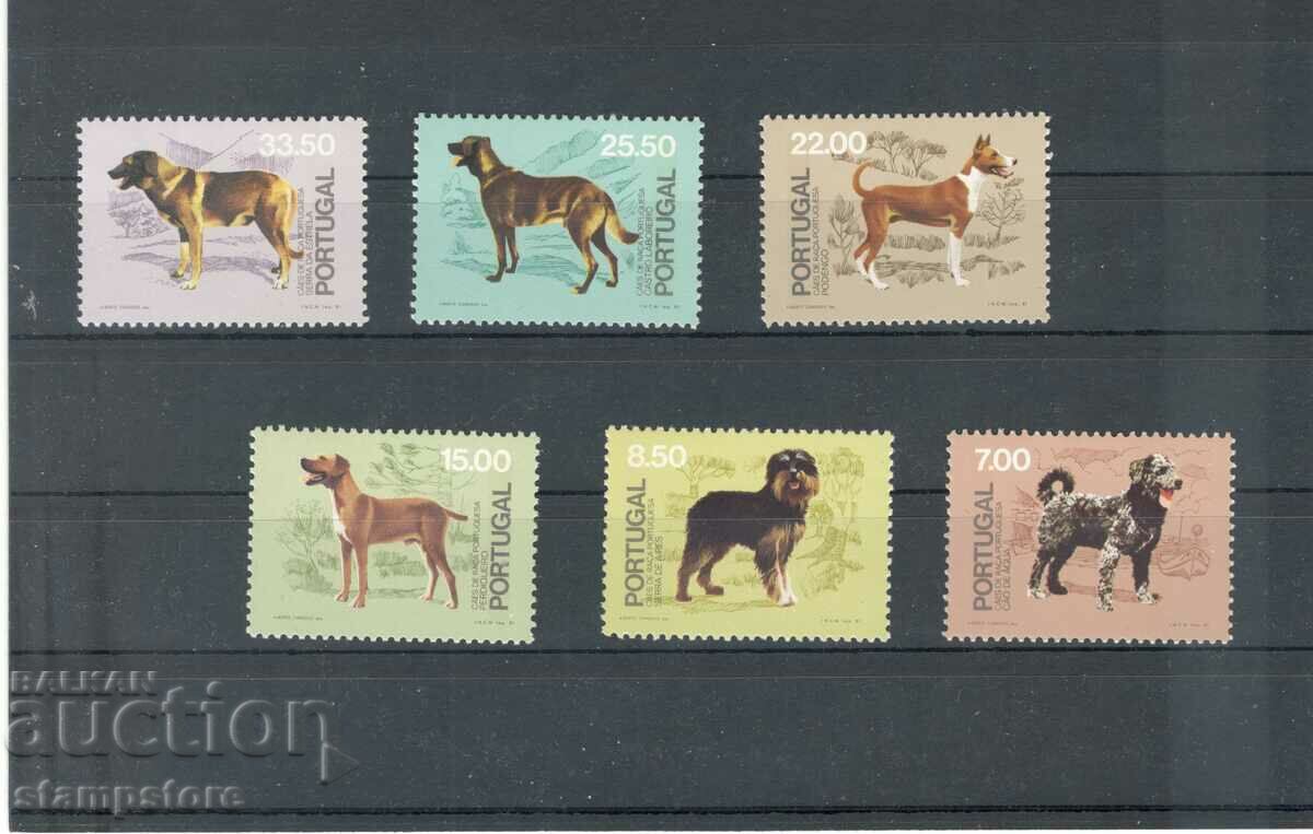 Portugal - dog series