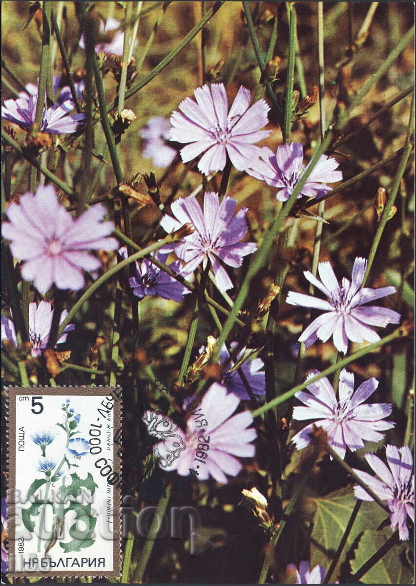 Bulgaria - harta maxim 1982 - flori - fiere albastru