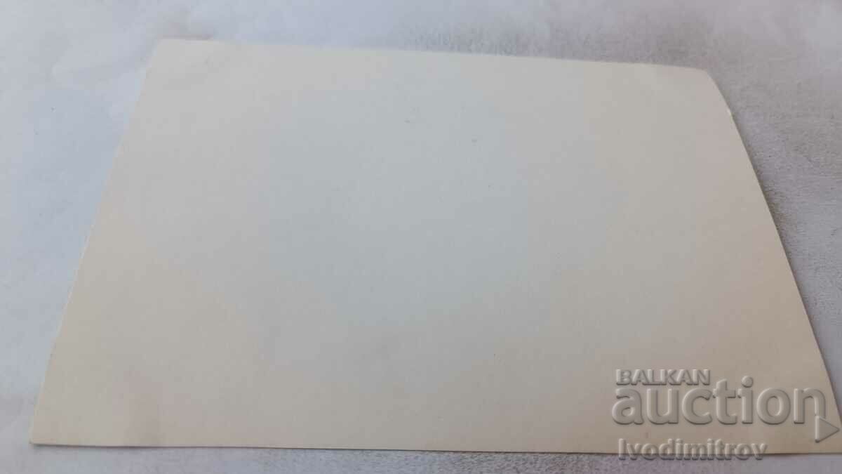 Photo Dimitrovgrad with price 1.65 BGN | € 0.84