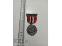 Норвежки Сребърен медал с маркировка