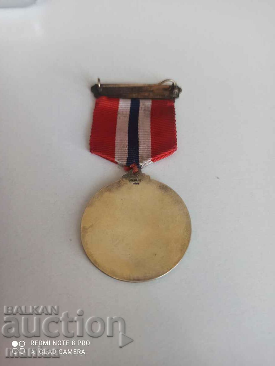 Ασημένιο μετάλλιο Νορβηγίας με σήμα και σμάλτο - 7