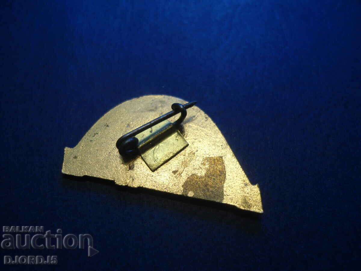 Auction WATER PROJECT, old badge, enamel Auction WATER PROJECT, old badge, enamel