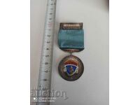 Норвежки Сребърен медал с маркировка и емайл