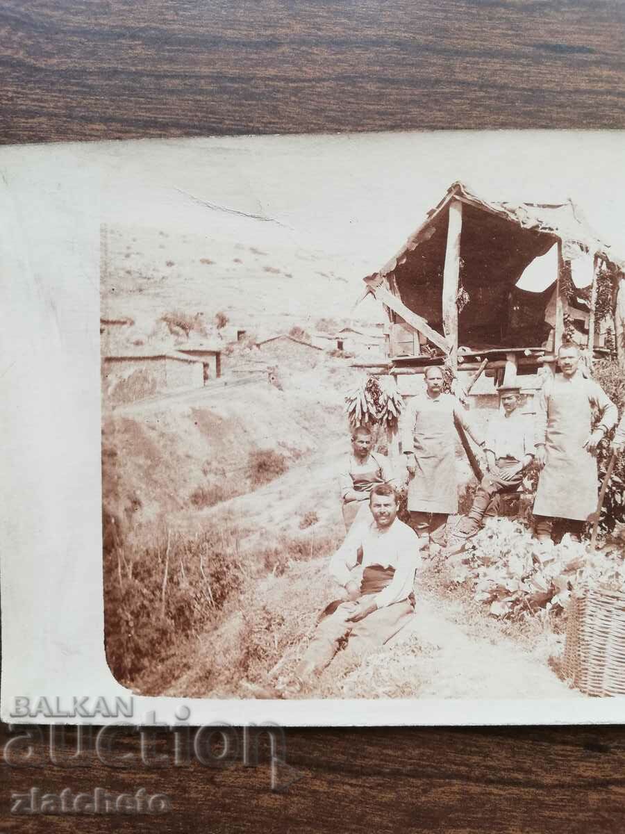 Old photo Kingdom of Bulgaria - PSV with price 15.00 BGN | € 7.67 Old photo Kingdom of Bulgaria - PSV with price 15.00 BGN | € 7.67