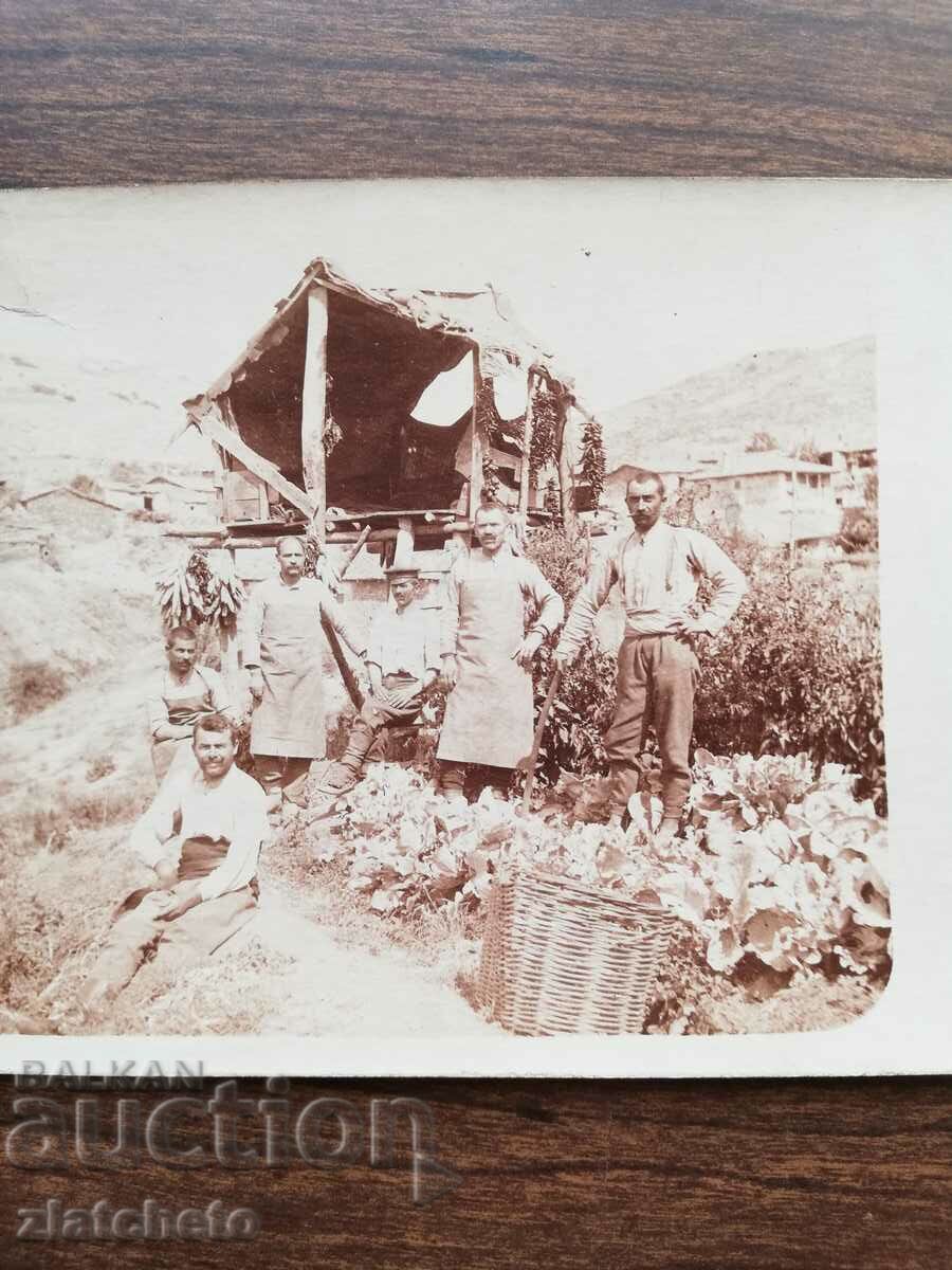 Auction Old photo Kingdom of Bulgaria - PSV Auction Old photo Kingdom of Bulgaria - PSV