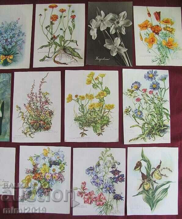 Delivery of Old Postcards - Flowers 17 pcs.
