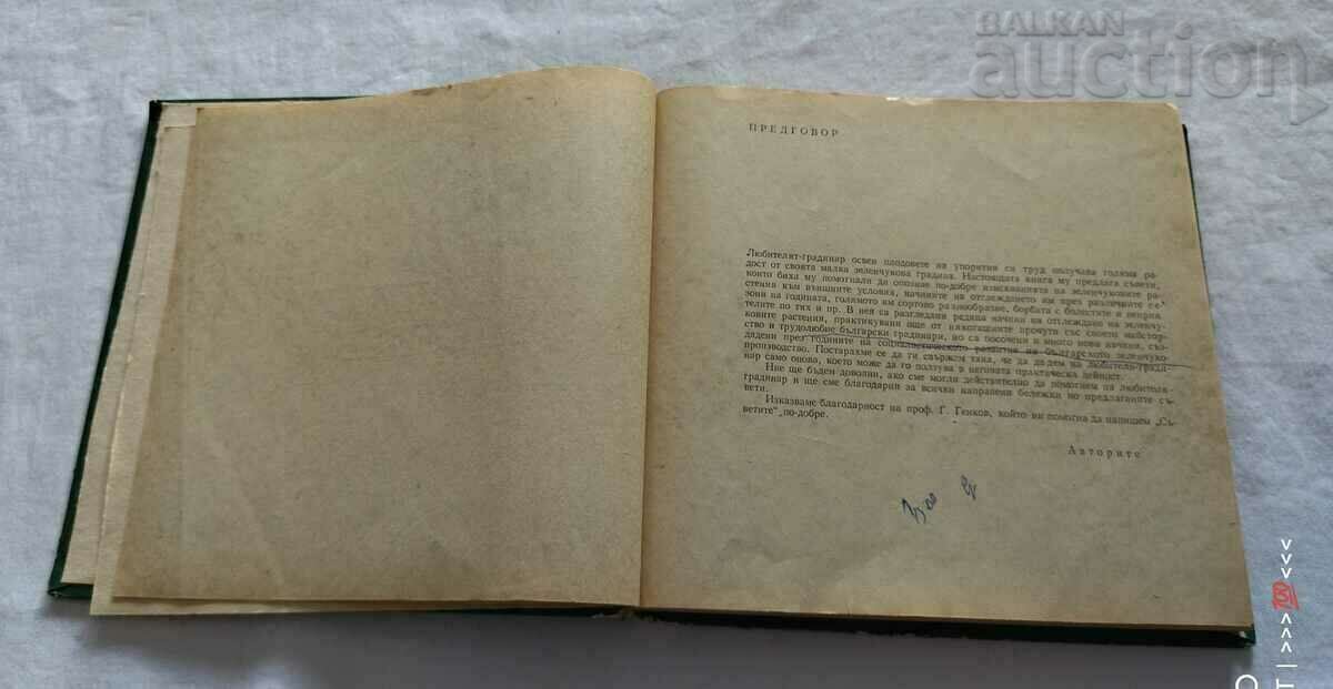 Auction  666 TIPS FOR THE 1979 AMP GARDENER.