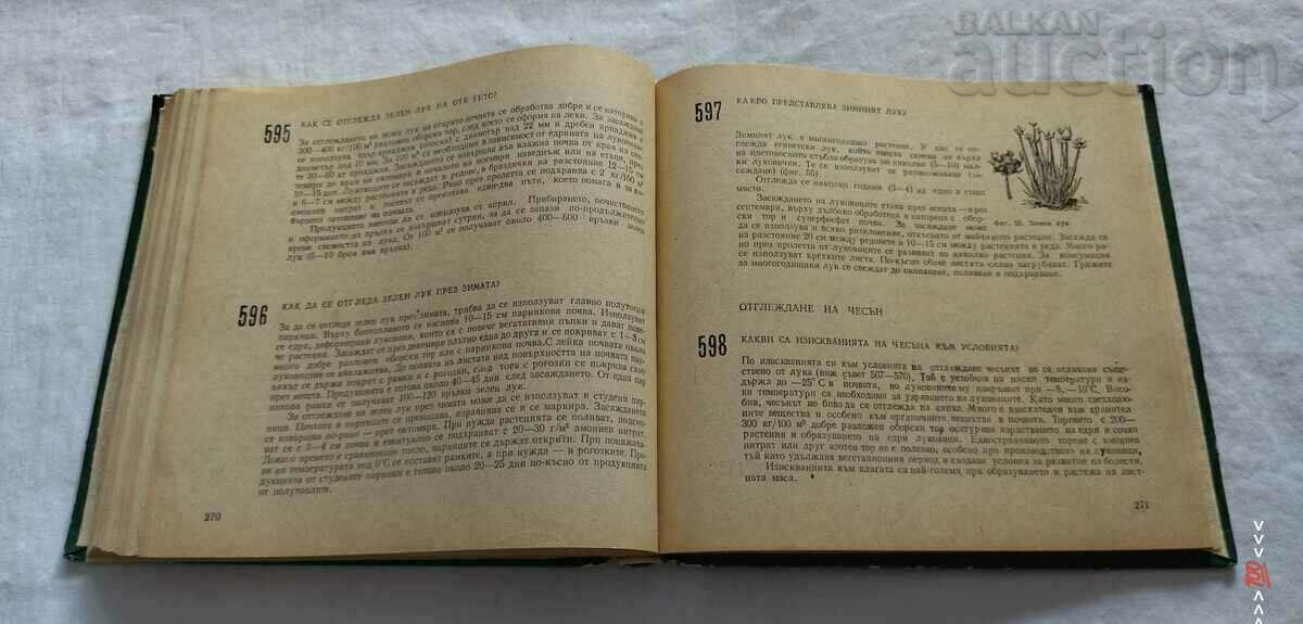 666 TIPS FOR THE 1979 AMP GARDENER. - 6