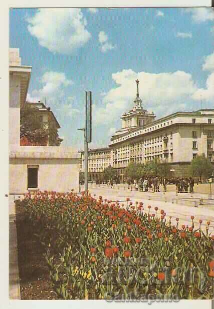 Postcard Bulgaria 3 *