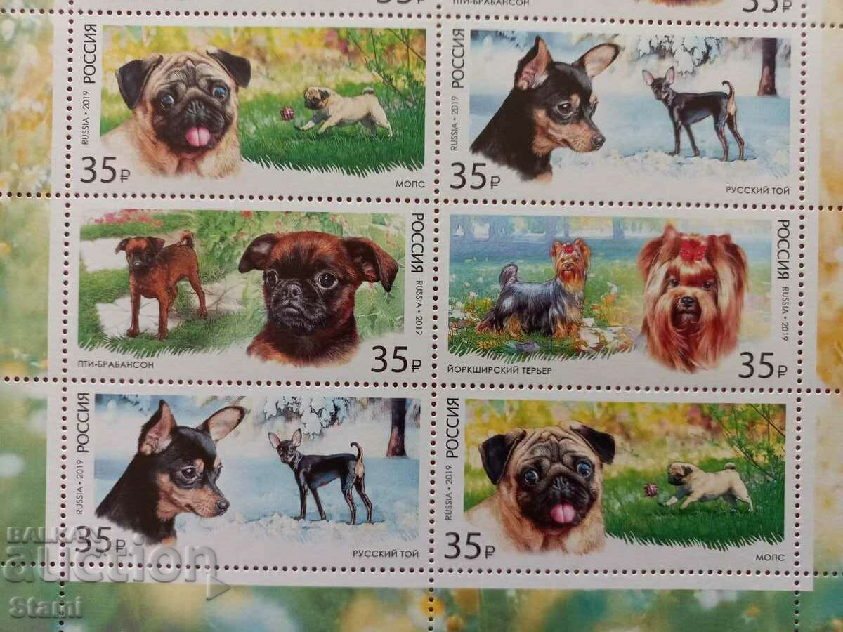 Auction Block stamps Decorative dog breeds, 2019, mint, Russia Auction Block stamps Decorative dog breeds, 2019, mint, Russia