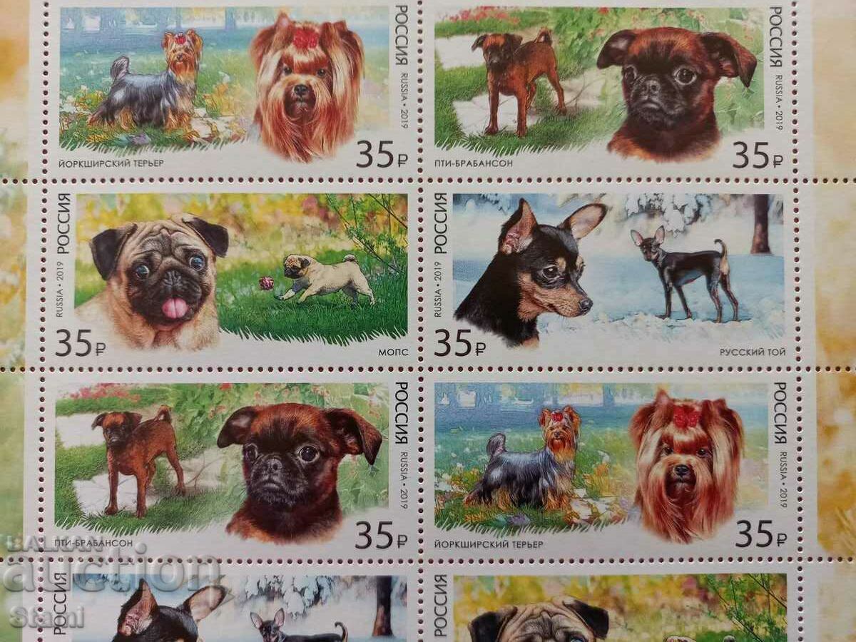 Delivery of Block stamps Decorative dog breeds, 2019, mint, Russia Delivery of Block stamps Decorative dog breeds, 2019, mint, Russia