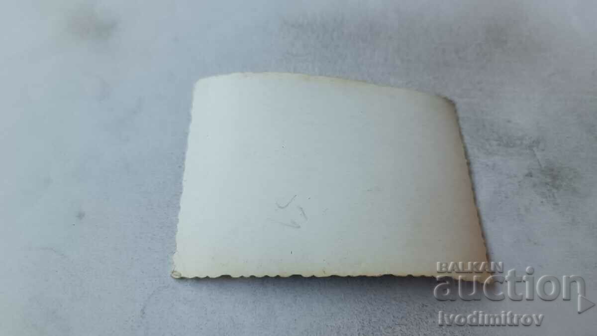 Photo A man with a wolf dog with price 1.65 BGN | € 0.84 Photo A man with a wolf dog with price 1.65 BGN | € 0.84