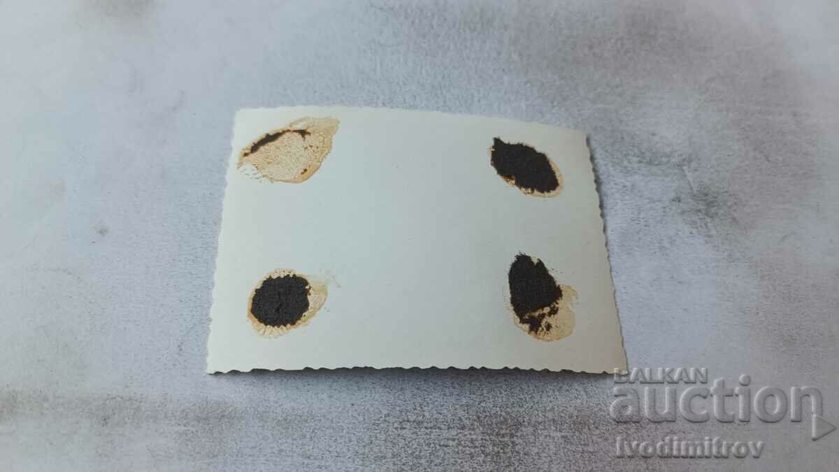 Photo Men women children and dog with price 1.65 BGN | € 0.84 Photo Men women children and dog with price 1.65 BGN | € 0.84