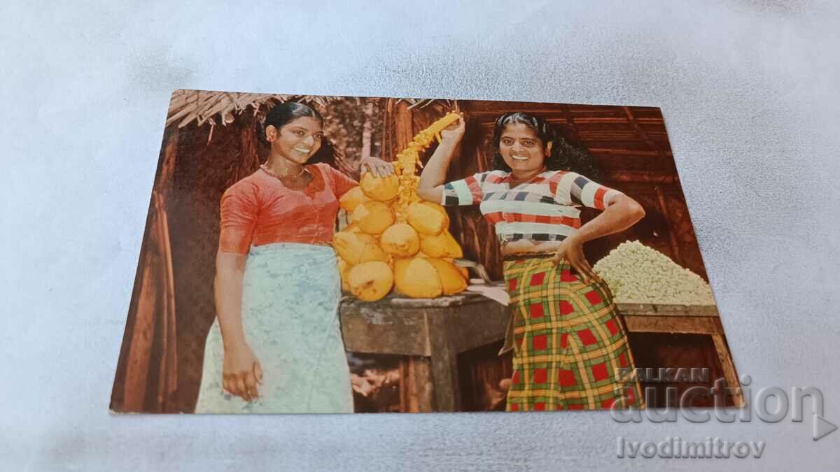 Carte poștală Pasyala, vânzători de fructe din Ceylon