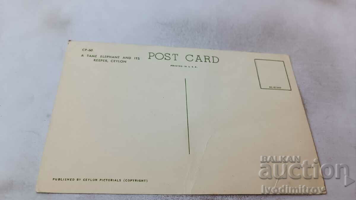 Postcard Ceylon A Tame Elephant and its Keeper with price 0.85 BGN | € 0.43 Postcard Ceylon A Tame Elephant and its Keeper with price 0.85 BGN | € 0.43