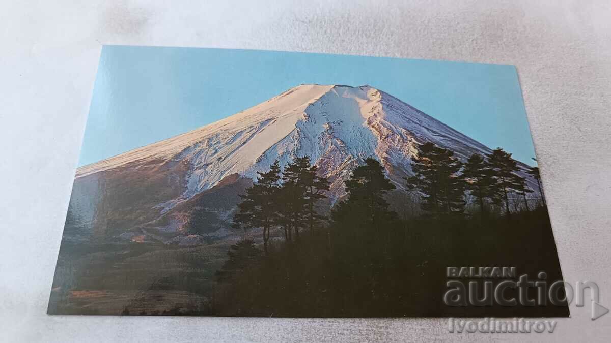 Postcard Grand View of Mt. Fuji