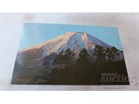 Postcard Grand View of Mt. Fuji