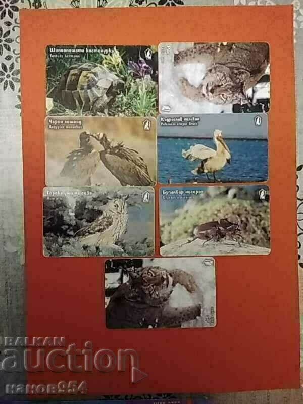 Κάρτες ήχου με ζώα Κάρτες ήχου με ζώα