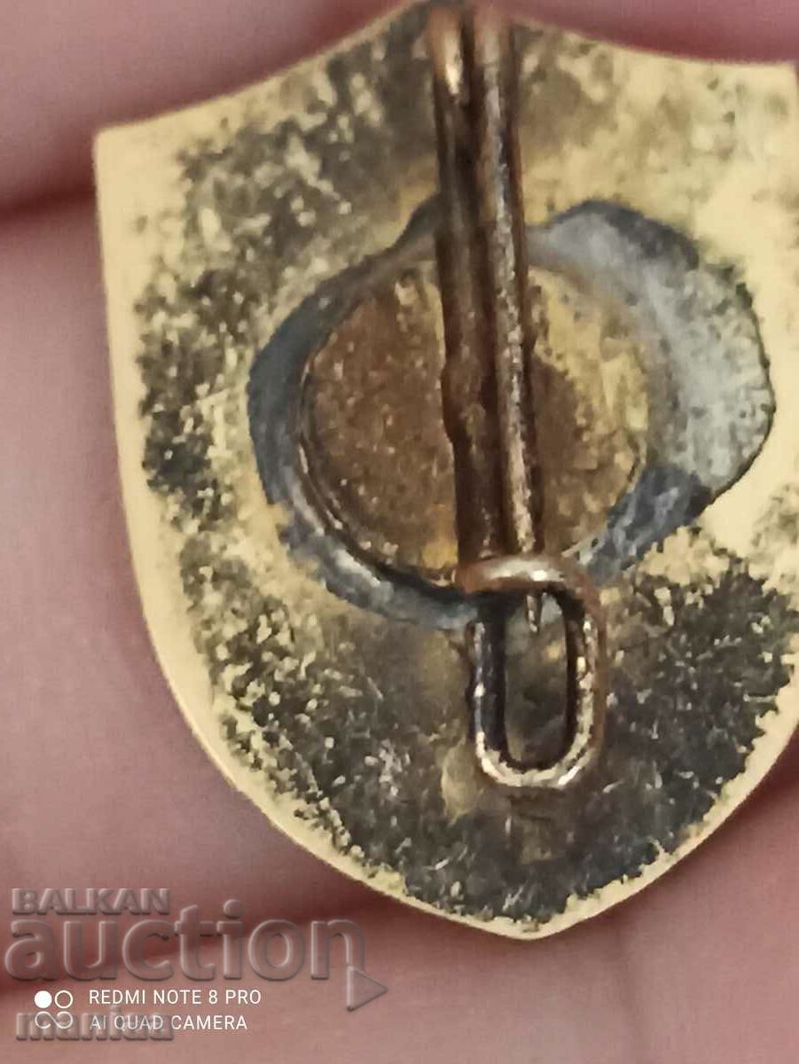 Delivery of Norwegian silver military badge with the benefit