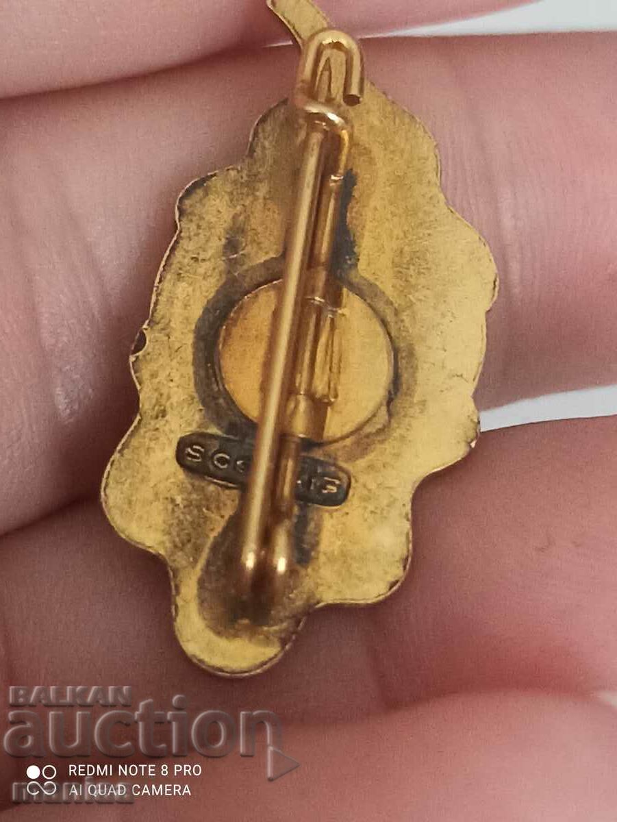 Military silver badge with enamel and gilt - 5 Military silver badge with enamel and gilt - 5