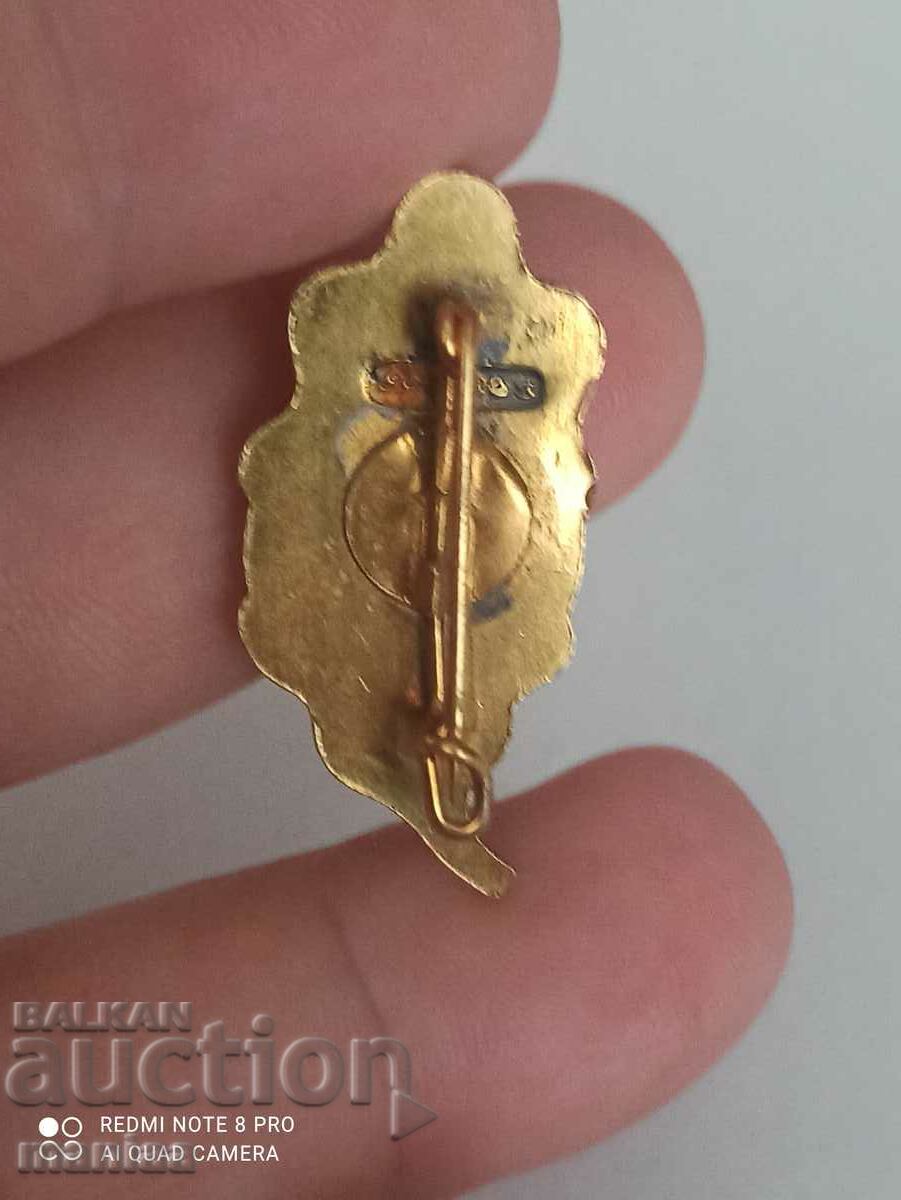 Military silver badge with enamel and gilt - 5 Military silver badge with enamel and gilt - 5