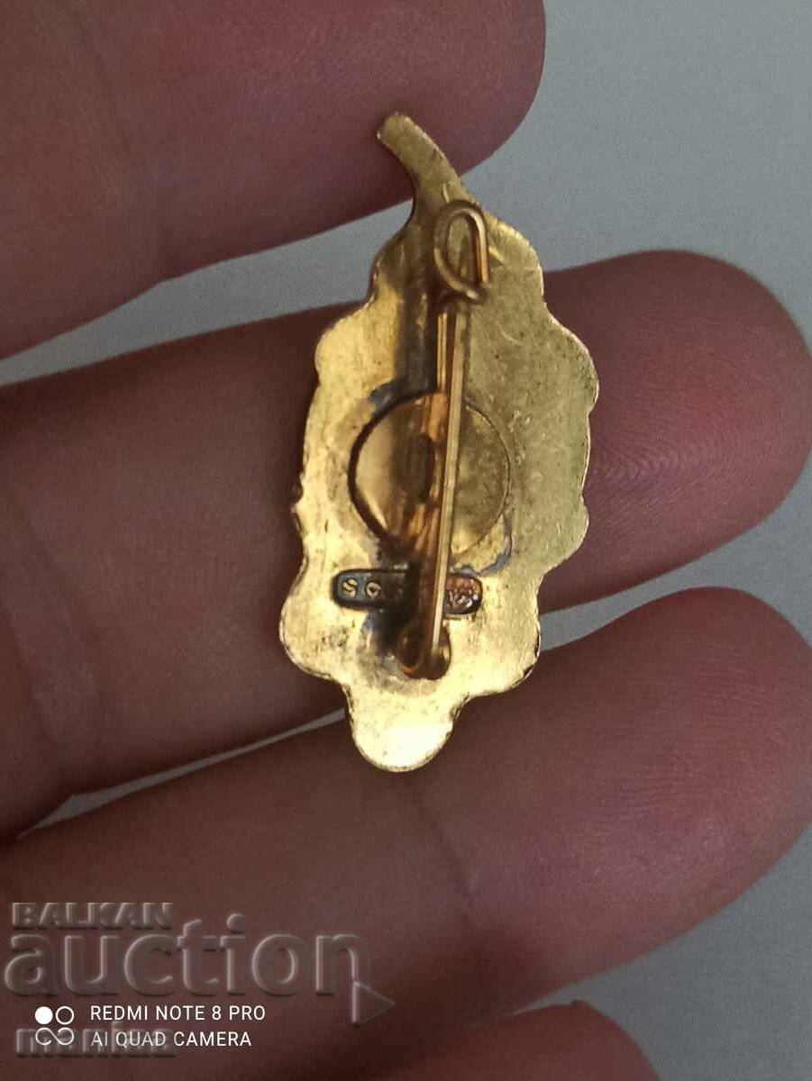 Military silver badge with enamel and gilt - 6 Military silver badge with enamel and gilt - 6