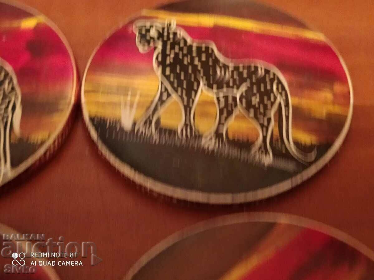 Coasters Africa massive and heavy - 5