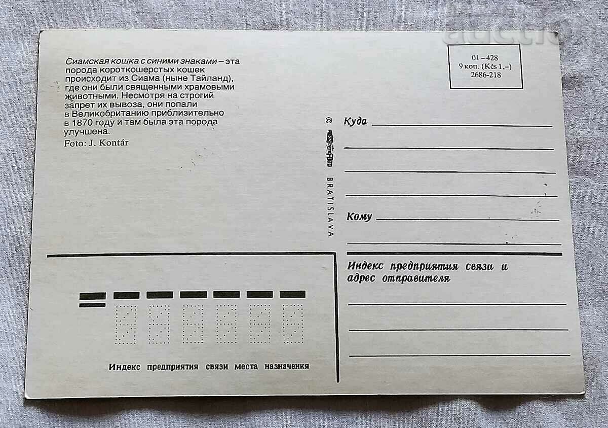 ΚΑΡΤΑ SIAMESE CAT MAXIMUM με τιμή 3.00 BGN | € 1.53