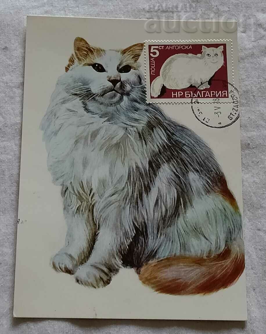 CARD ANGORE CAT MAXIM 1988